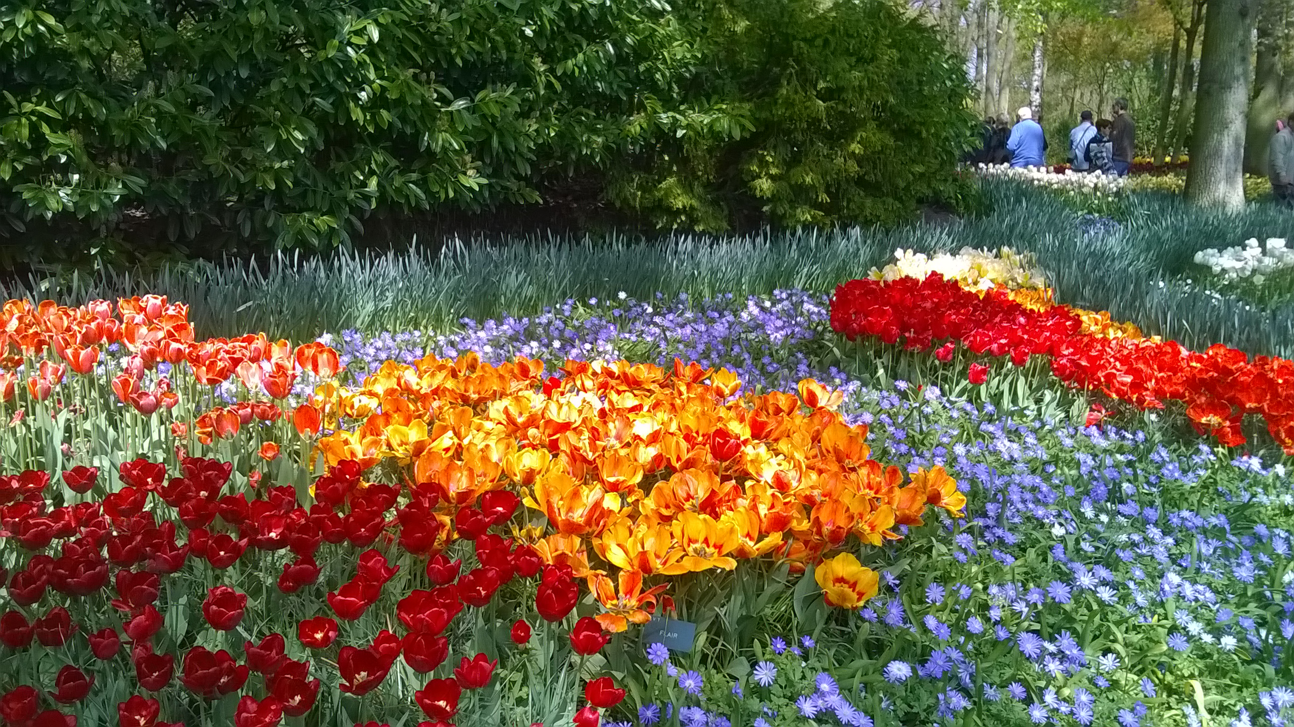 wp_20160504_12_15_01_pro.jpg