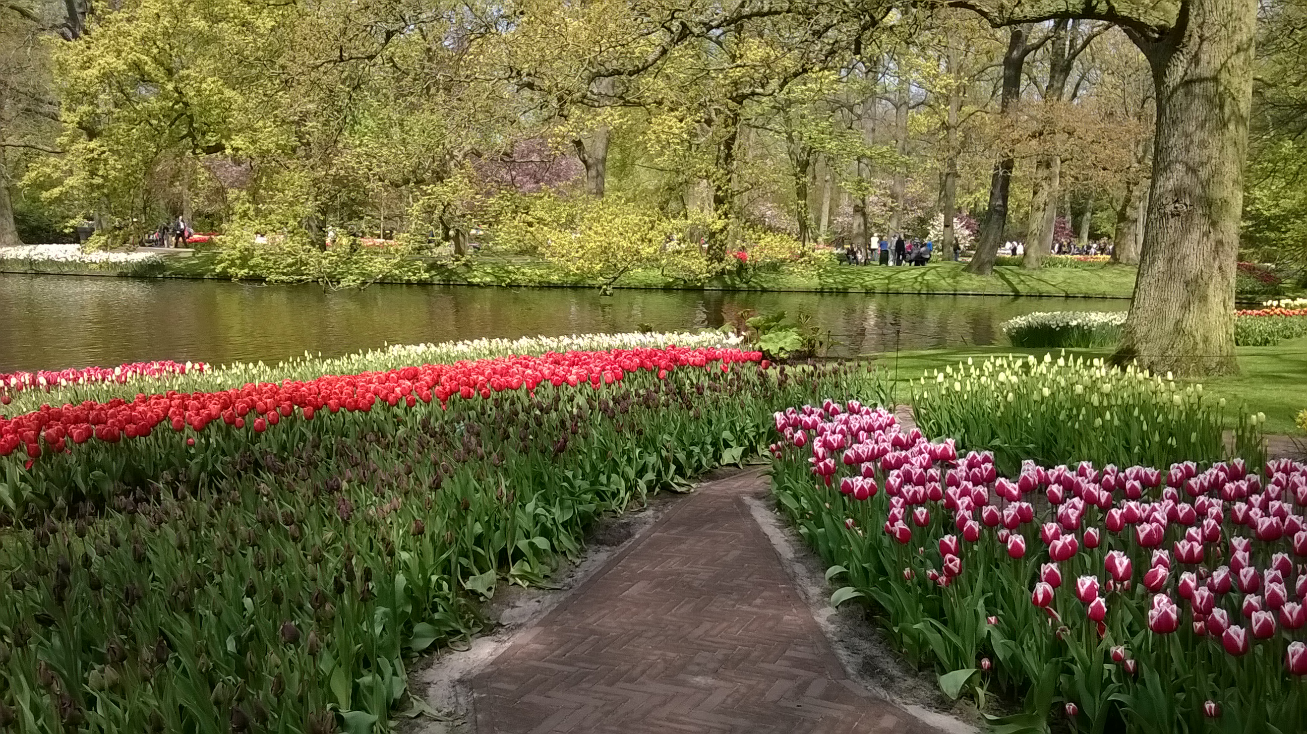 wp_20160504_12_35_58_pro.jpg