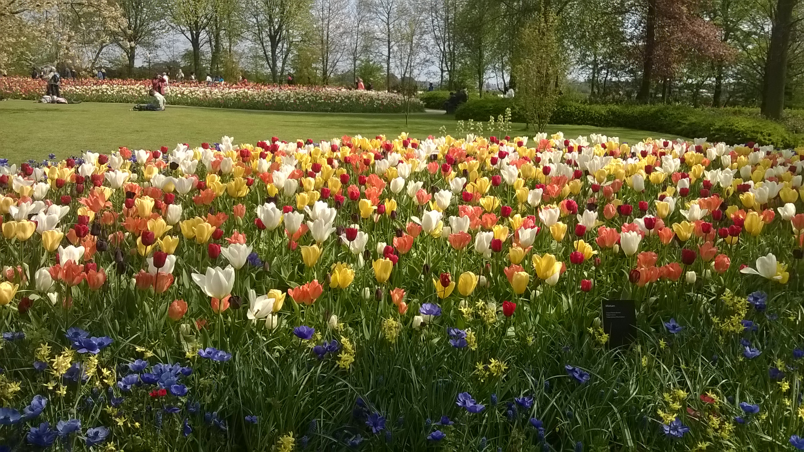 wp_20160504_14_07_13_pro_1.jpg