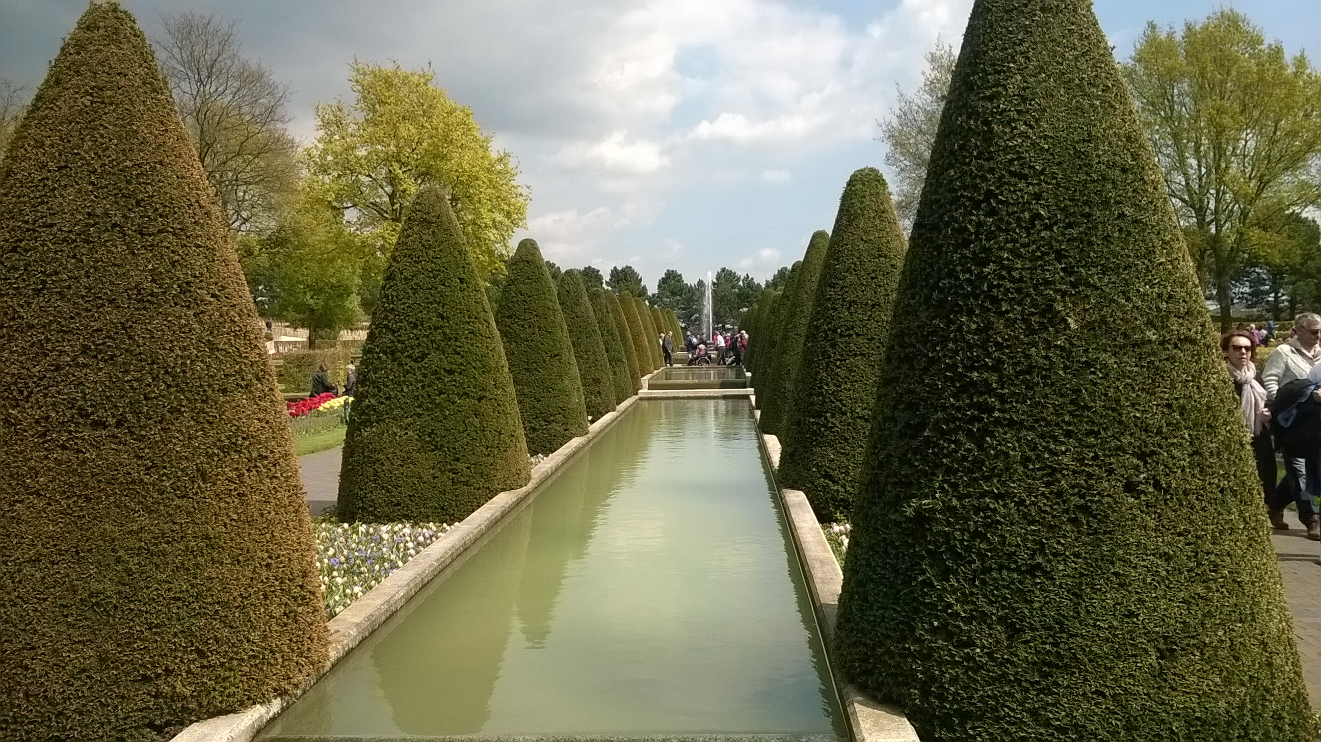 wp_20160504_14_26_54_pro.jpg