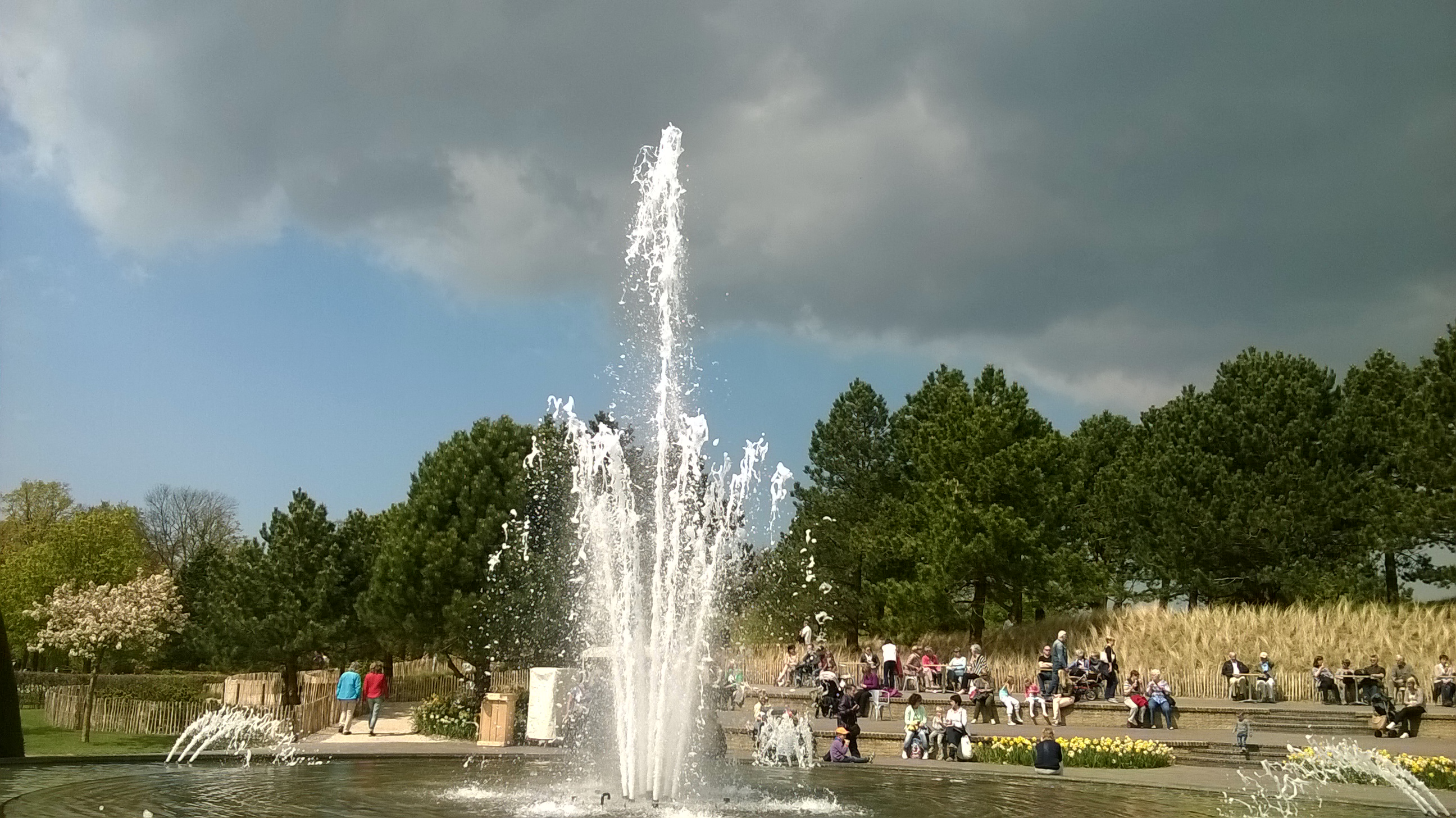 wp_20160504_14_33_16_pro.jpg