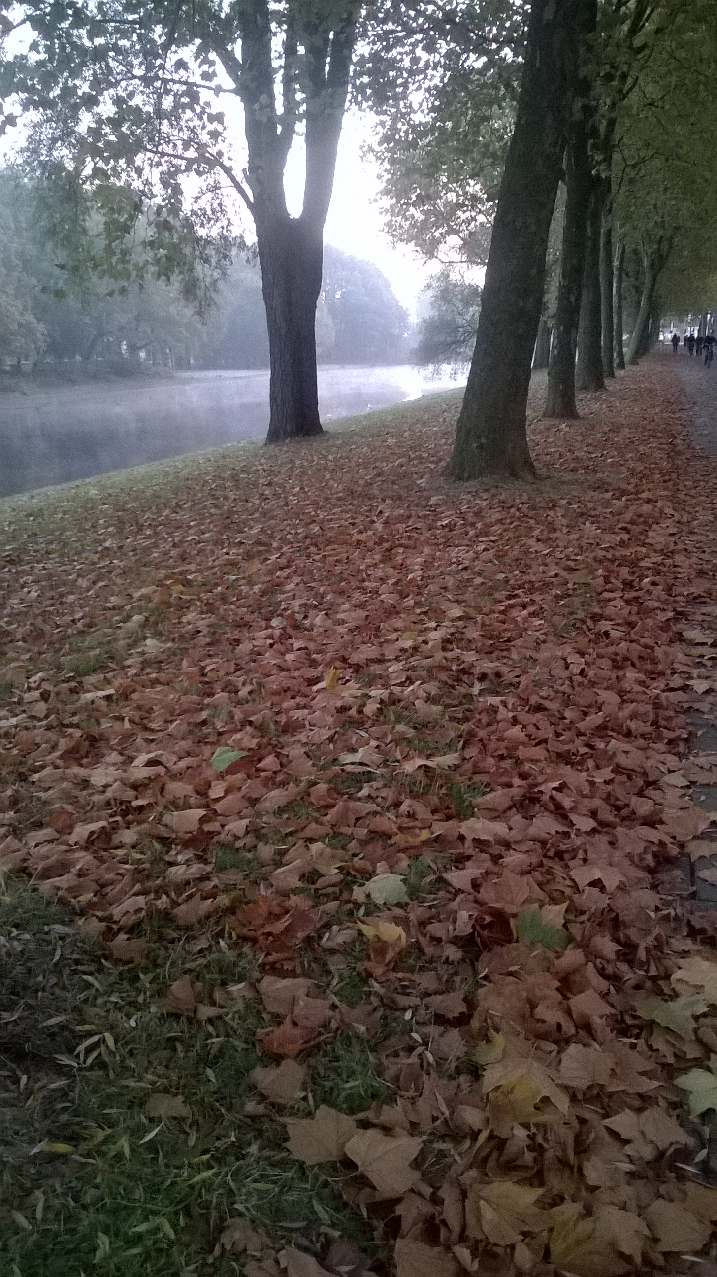 wp_20161108_07_54_35_pro.jpg