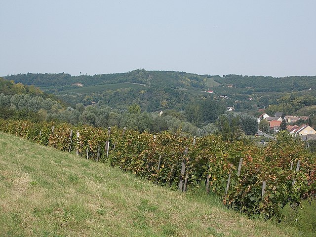 landscapes_of_szolohegy_neighborhood_2016_szekszard.jpg