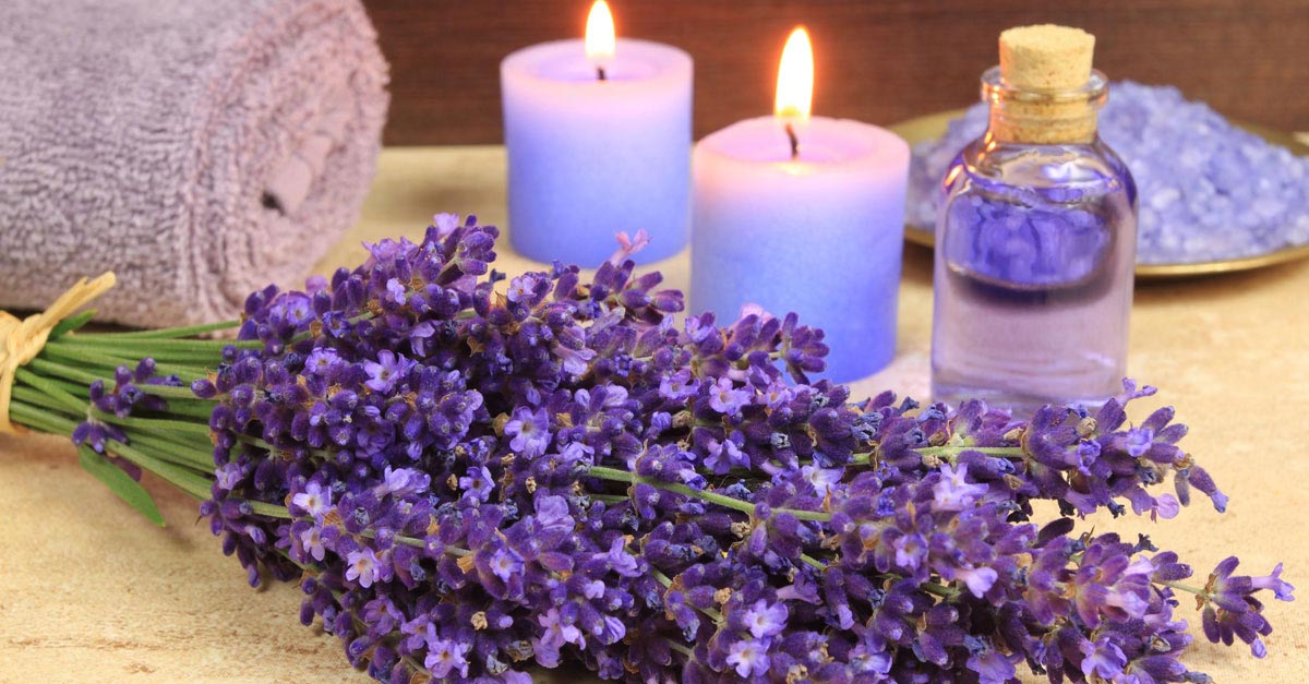 18-amazing-healing-powers-of-fragrant-lavender-oil.jpg