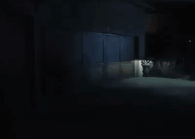 poszt2_5.gif