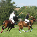 Magyar Polo Club