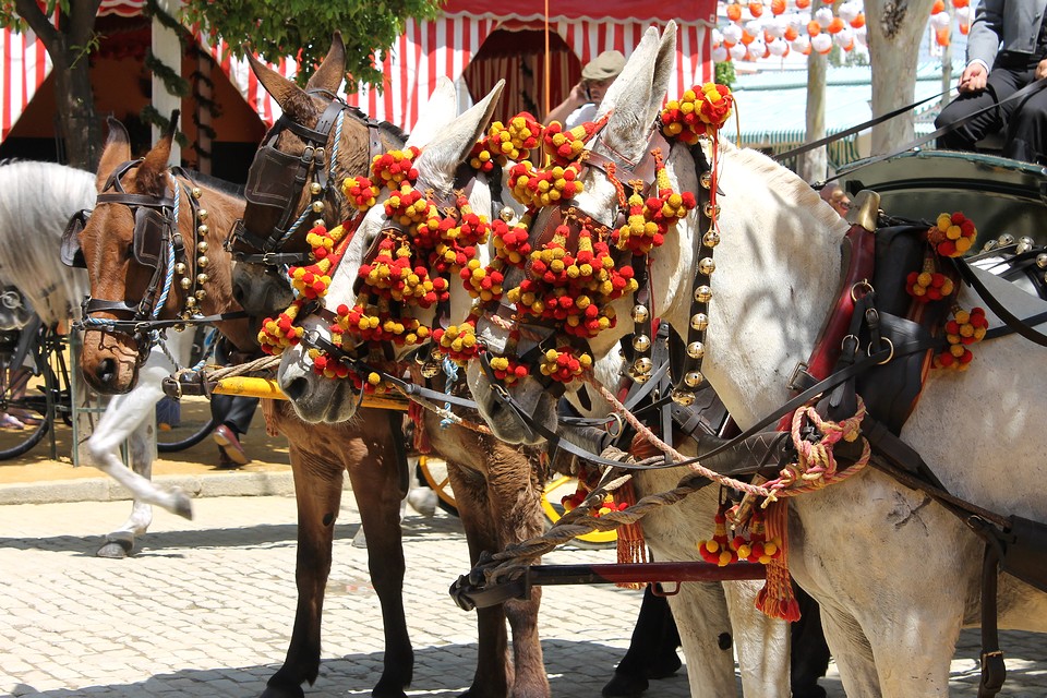 spanyolorszag_sevilla_feria_de_abril_02.jpg