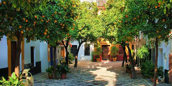 barrio-santa-cruz-seville_m.jpg