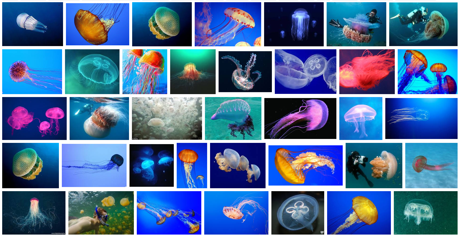 meduza_scroll_lock_1.png