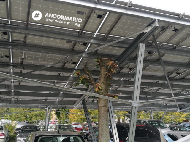 Magyar abszurd: egy pesti kórház udvarán napelemek alatt nőnek a fák