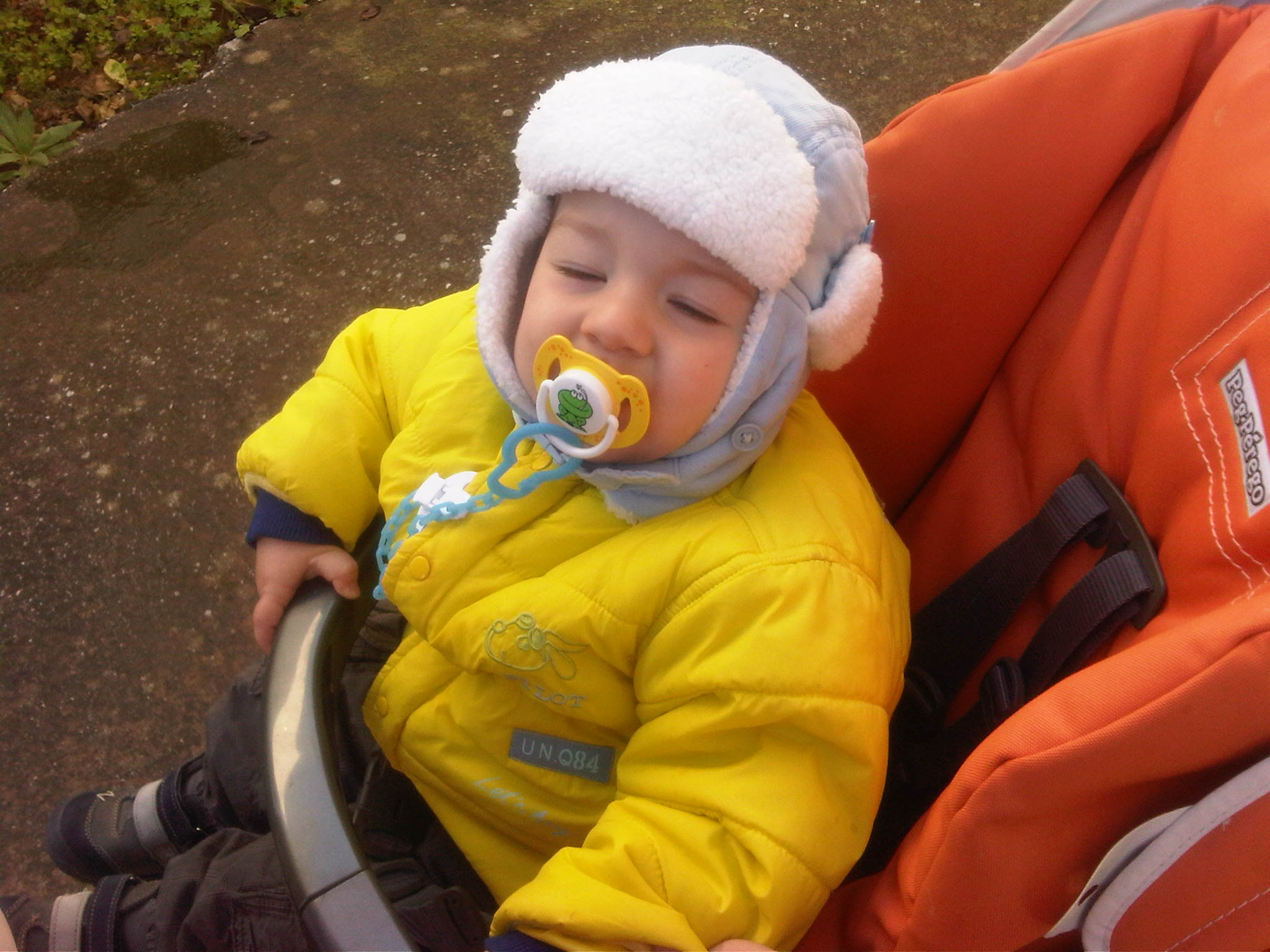 IMG00726-20130130-1136.jpg