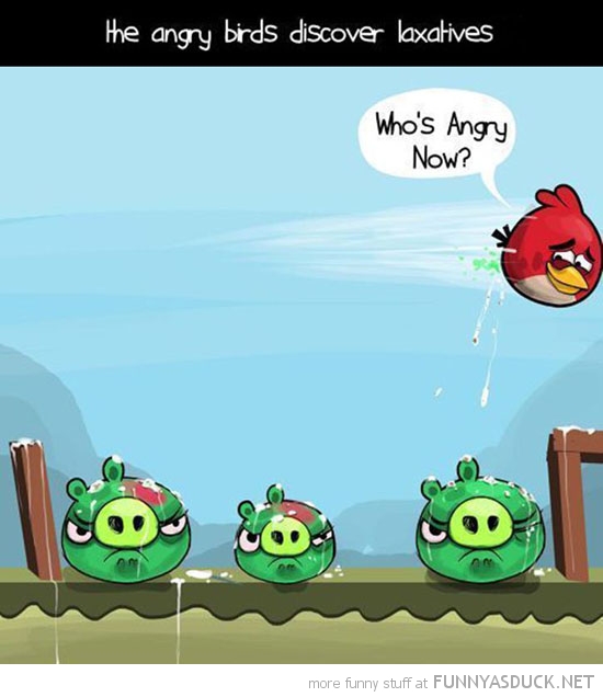 funny-angry-birds-discover-laxatives-shit-pigs-head-gaming-pics.jpeg