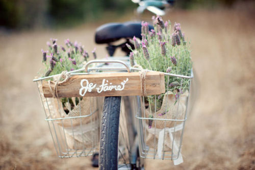 bike-lavender.jpg