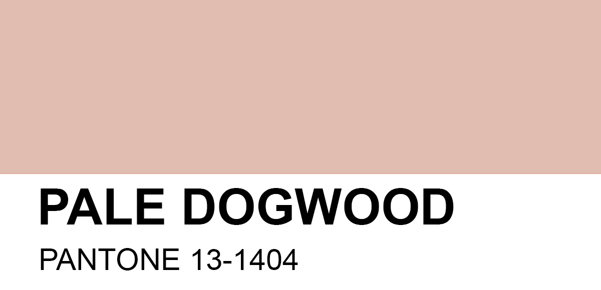 pantone-13-1404-pale-dogwood.jpg