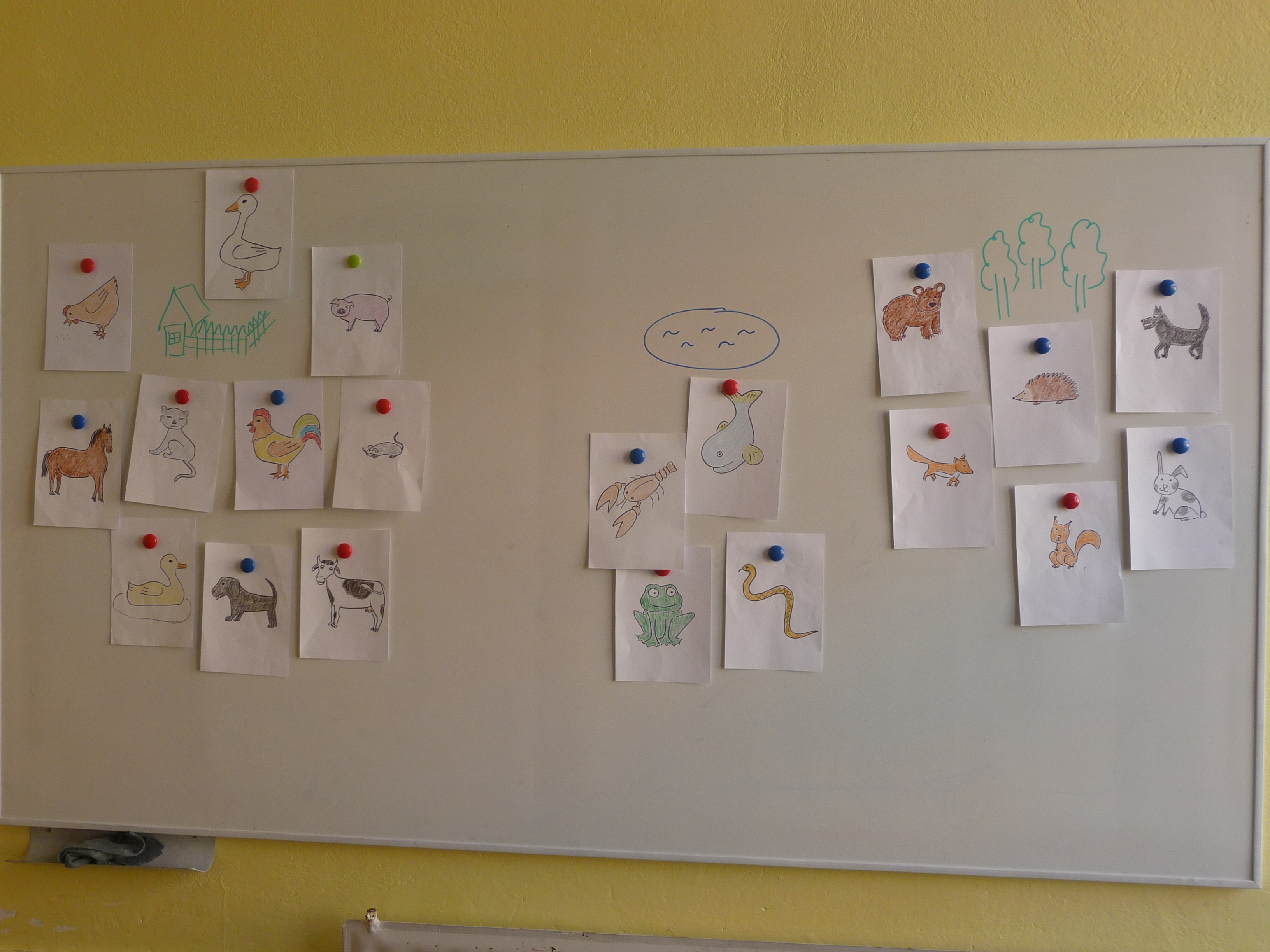 p1090838.JPG