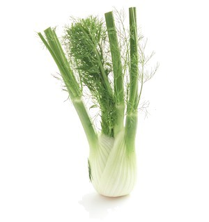 fennel.jpg