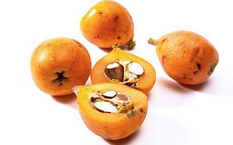 medlar.jpg