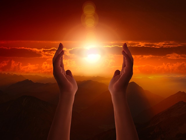 hala_pixabay_com_1.jpg