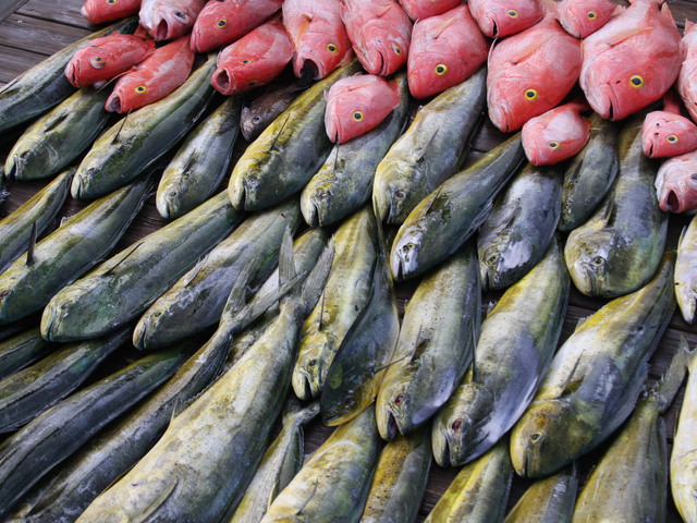 Return of the fish (/flesh) market