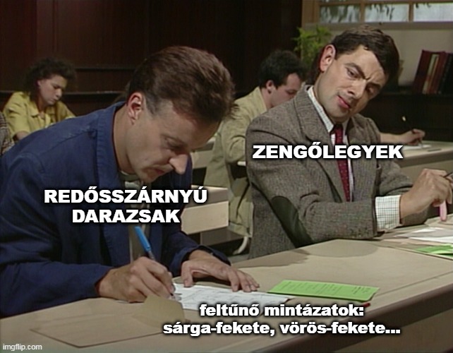 bates-fele_mimikri.jpg