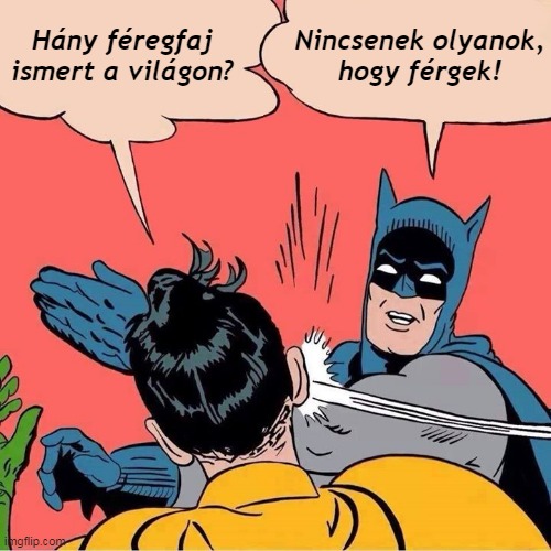 fergek.jpg