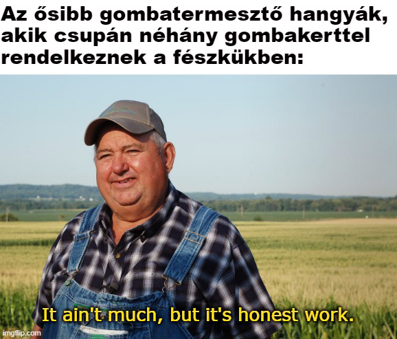 gombatermesztok.jpg