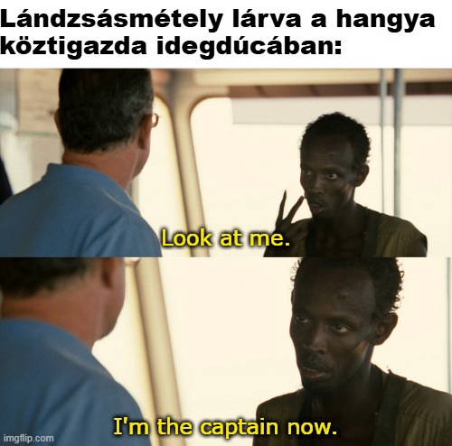 landzsasmetely.jpg