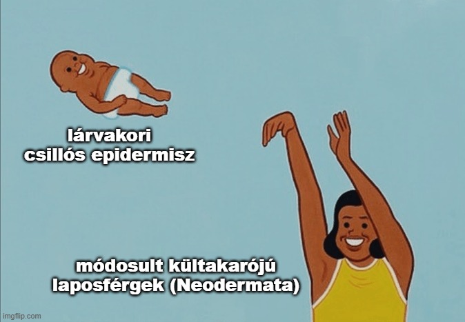 neodermata_uj.jpg