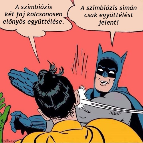 szimbiozis_fogalma.jpg