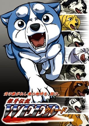 ginga_legend_weed_studio_deen_series.jpg