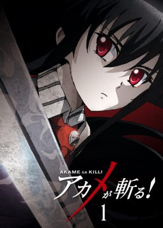 akame_ga_kill_white_fox_series.jpg