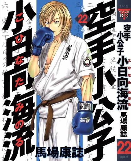 karate-shoukoushi-kohinata-minoru-4518759.jpg