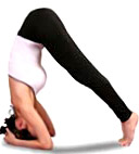 ardha_shirshasana.jpg