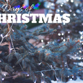 24 Days of Christmas #23 - Hagyományos karácsony és más kalandok