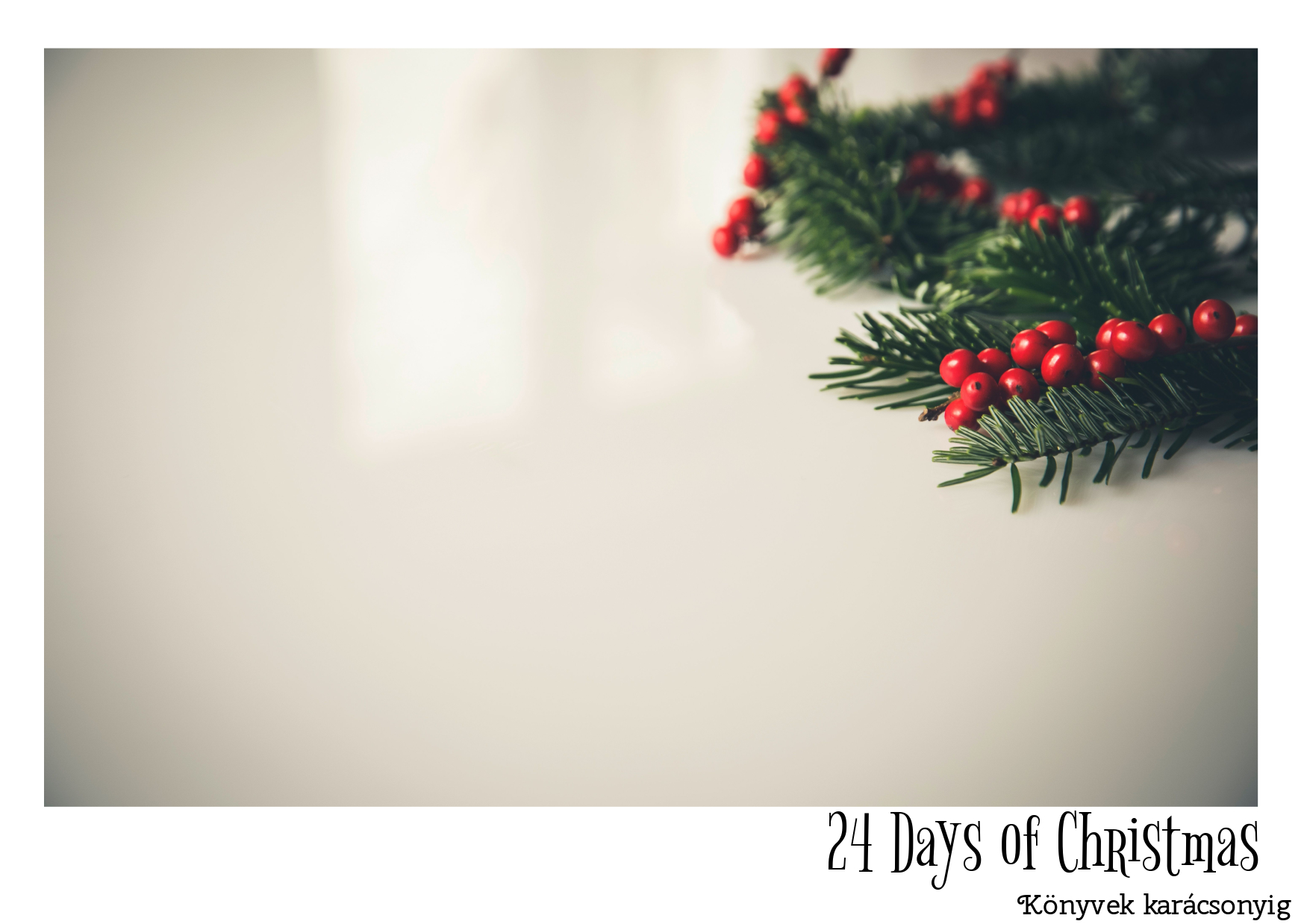 24_days_of_christmas_2016_02.jpg