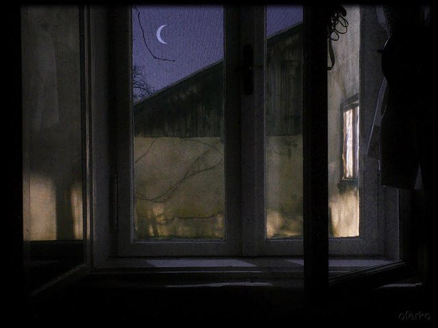 Szabó T. Anna: Hold-dal