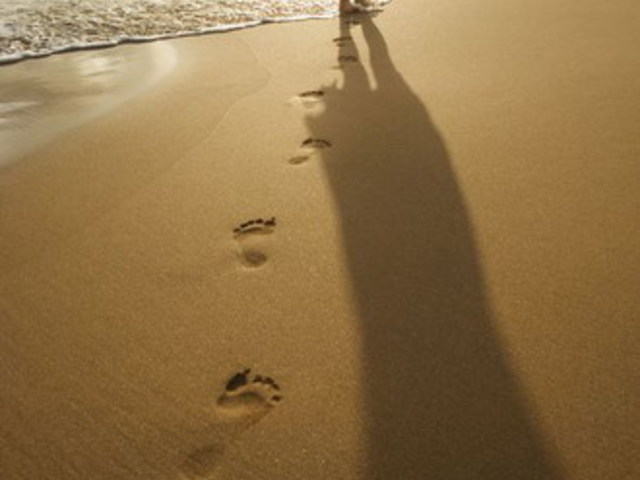 Pablo Neruda: Your feet