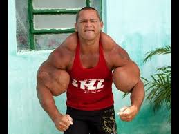 synthol.jpg