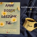 Lucy Score Amin sosem leszünk túl című könyvét olvastam