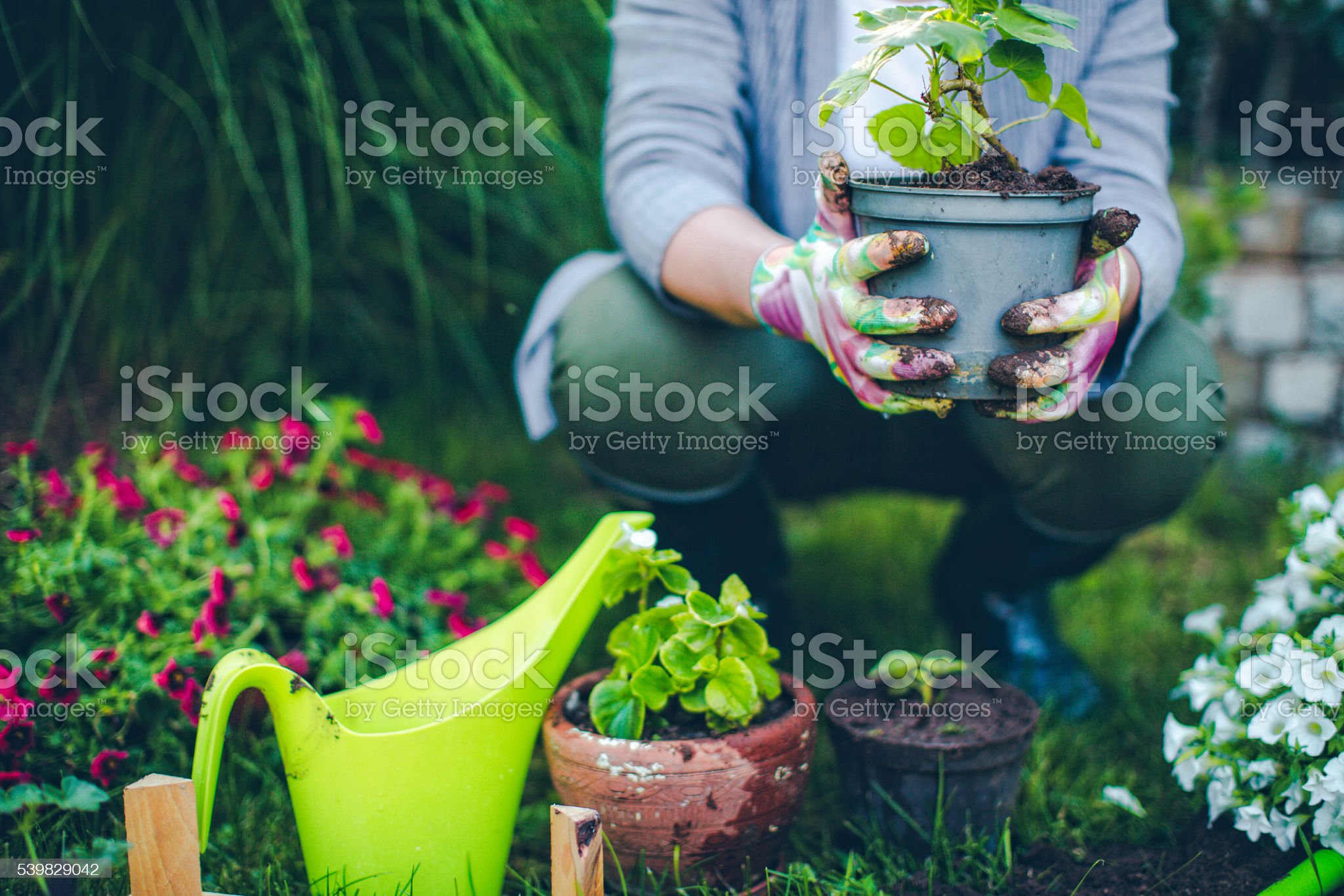 istockphoto-539829042-2048x2048.jpg