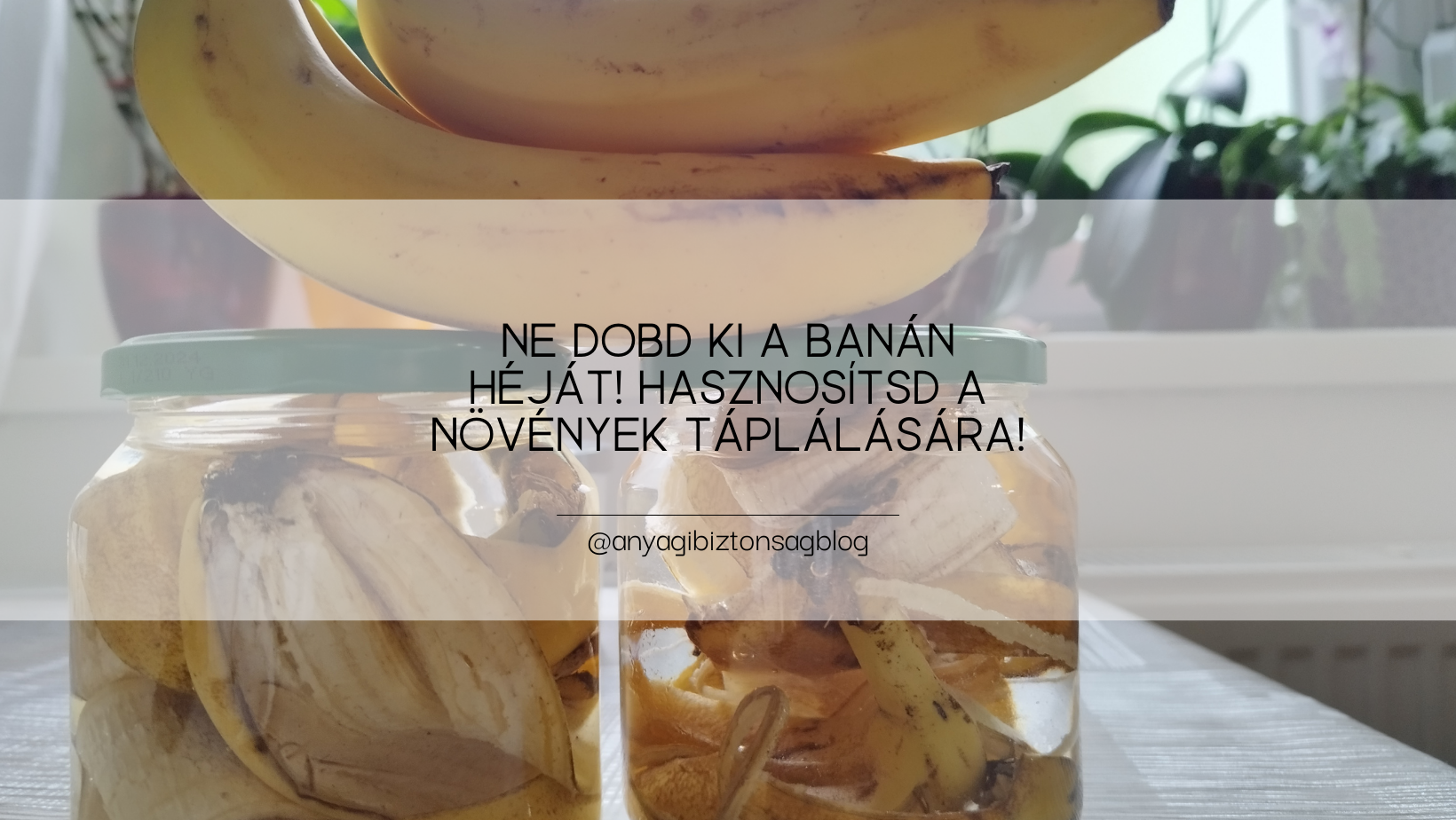 ne_dobd_ki_a_banan_hejat_hasznositsd_a_novenyek_taplalasara.png