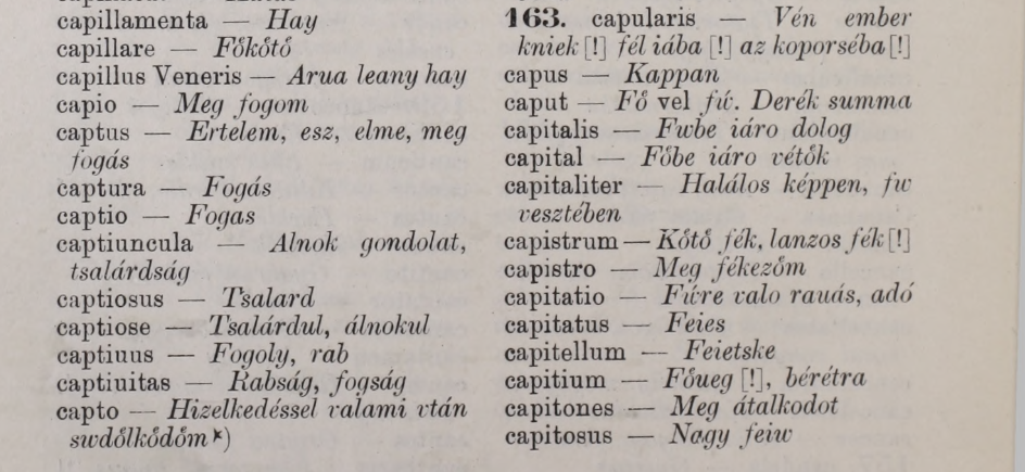 screenshot_2020-10-15_calepinus_latin-magyar_szotara_1585-bol_budapest_1912_konyvtar_hungaricana.png
