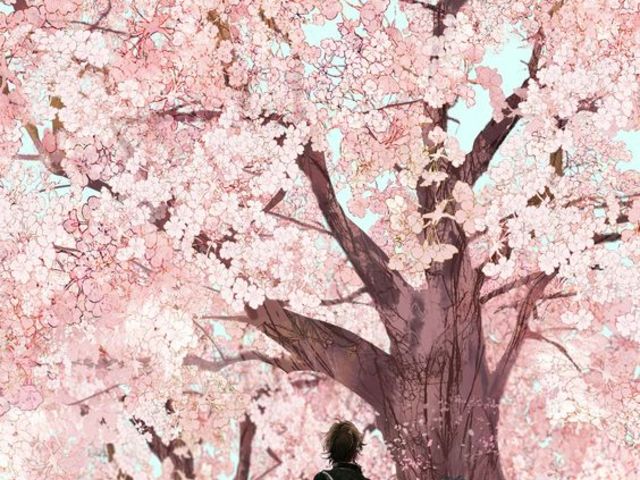 2. kép: A cseresznyevirág álma
