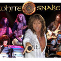 WHITESNAKE KONCERT BUDAPESTEN!!