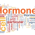 Természetes, vagy mesterséges hormonok?