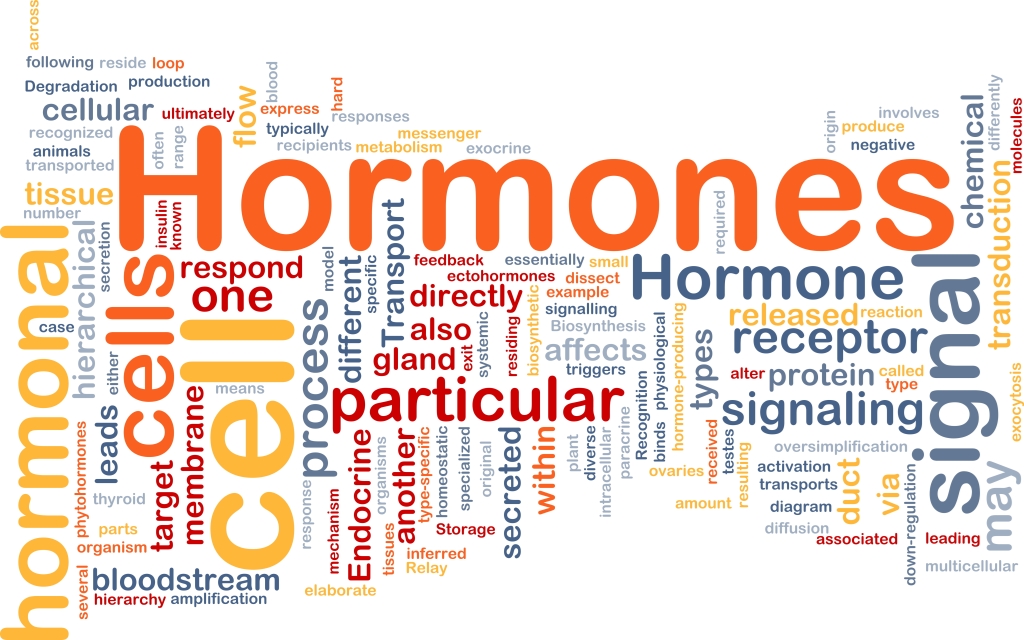 hormonok.jpg