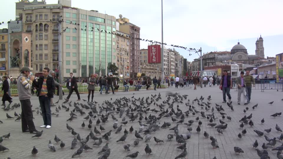 taksim-square-pigeon-urban-life-flock-of-birds.jpg