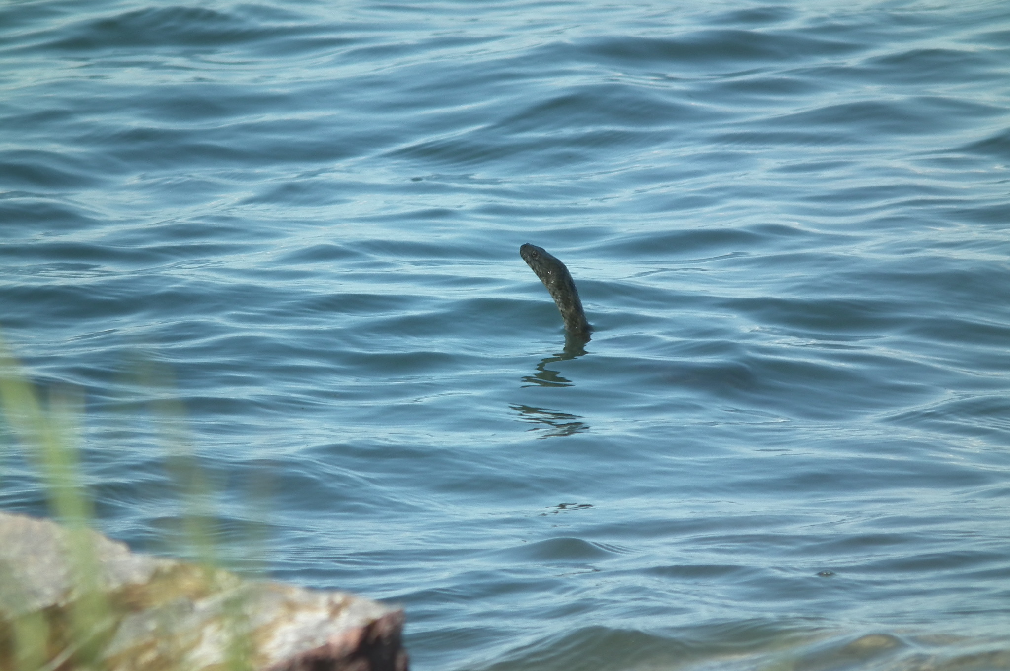 dscf6119.JPG