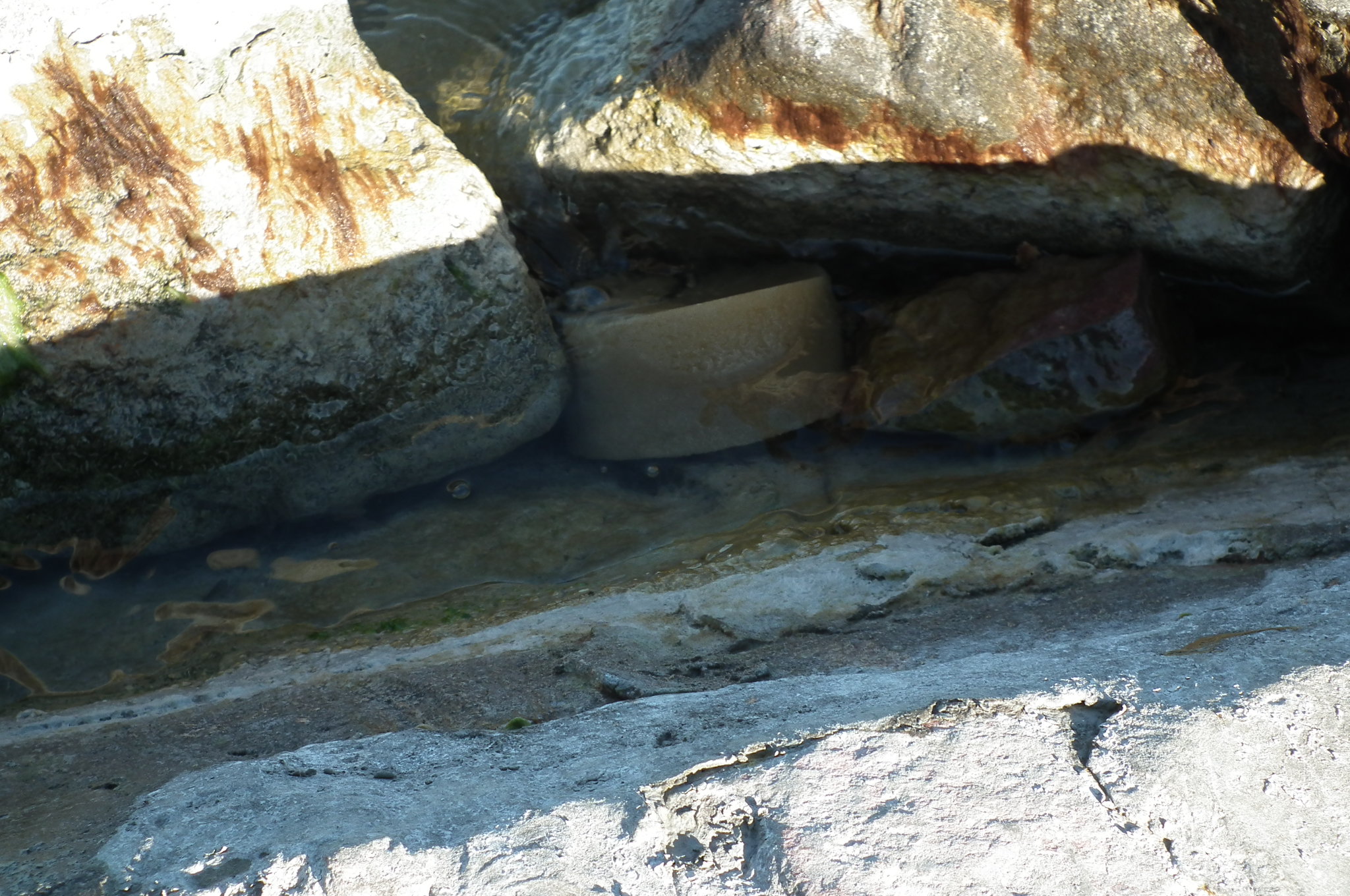 dscf6121.JPG
