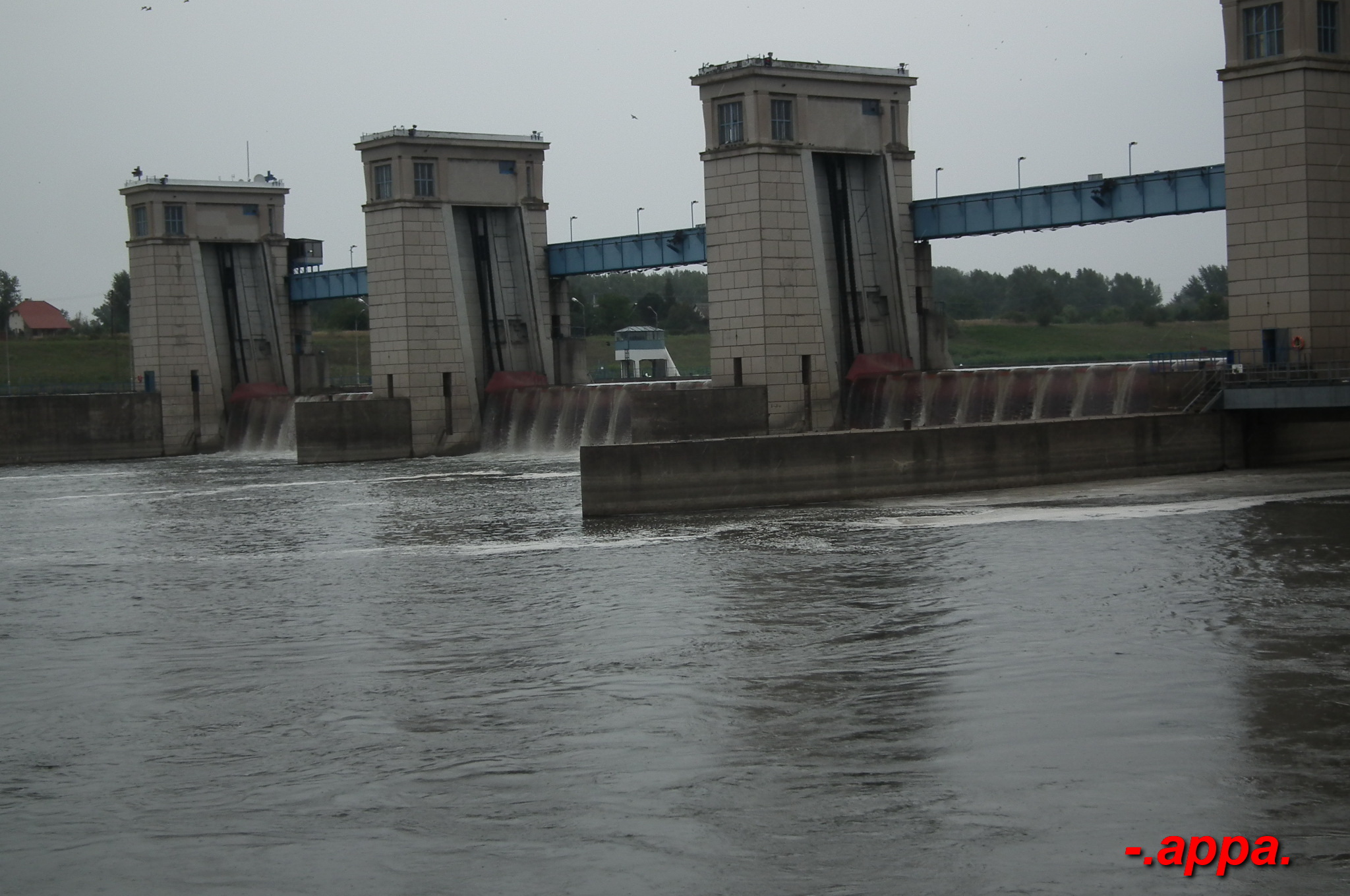 dscf7296.JPG